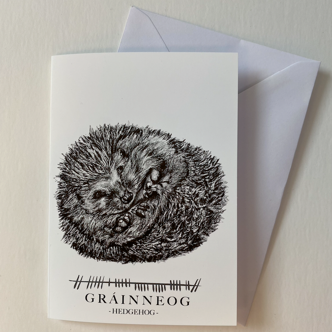 Hedgehog art gift idea by Steven Farrell