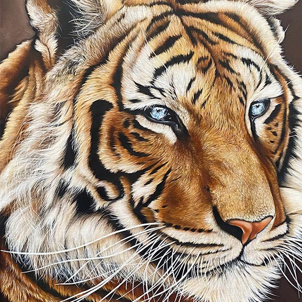 Tiger-painting-realism-sumatran-big-cat