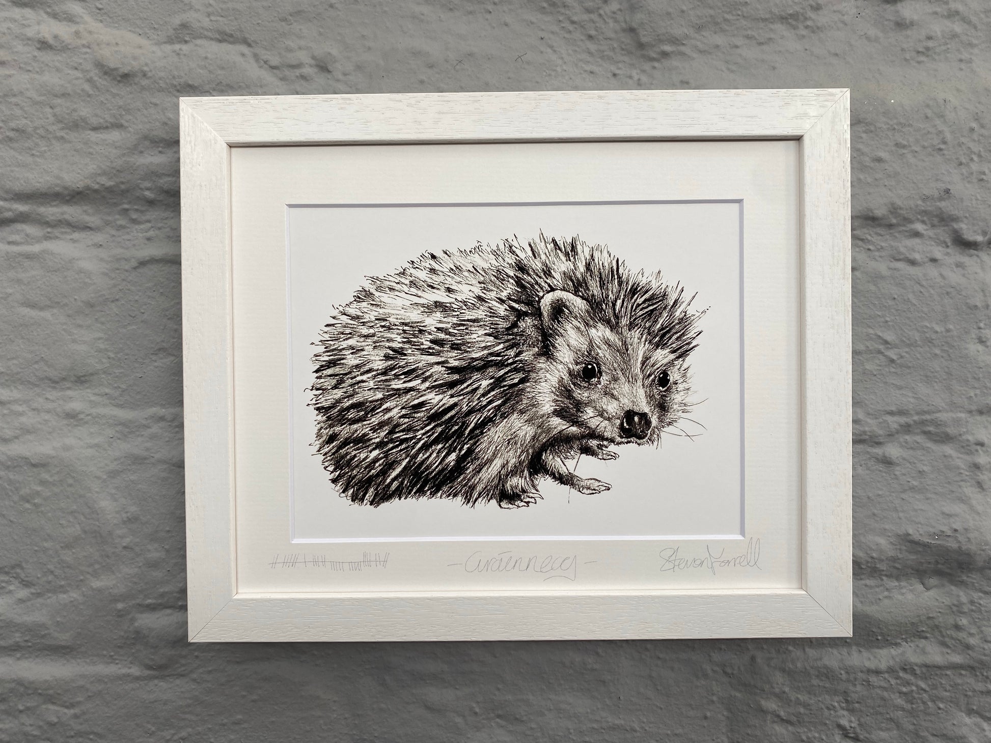 Wildlife art print hedgehog 