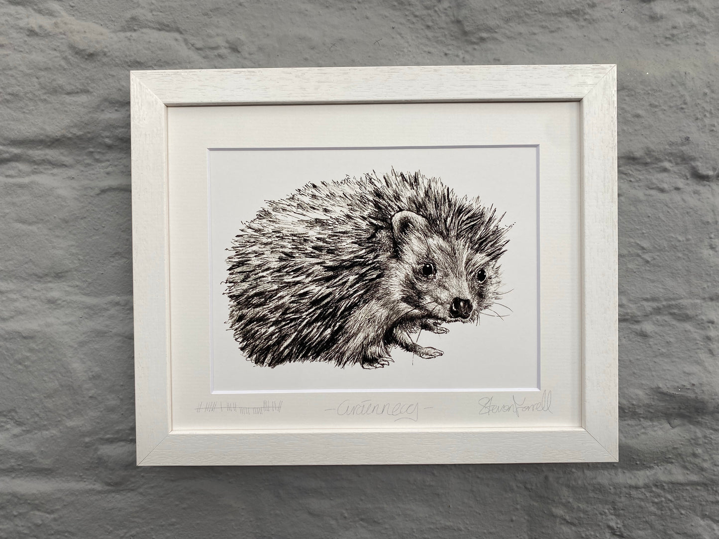 Hedgehog art work fine art print